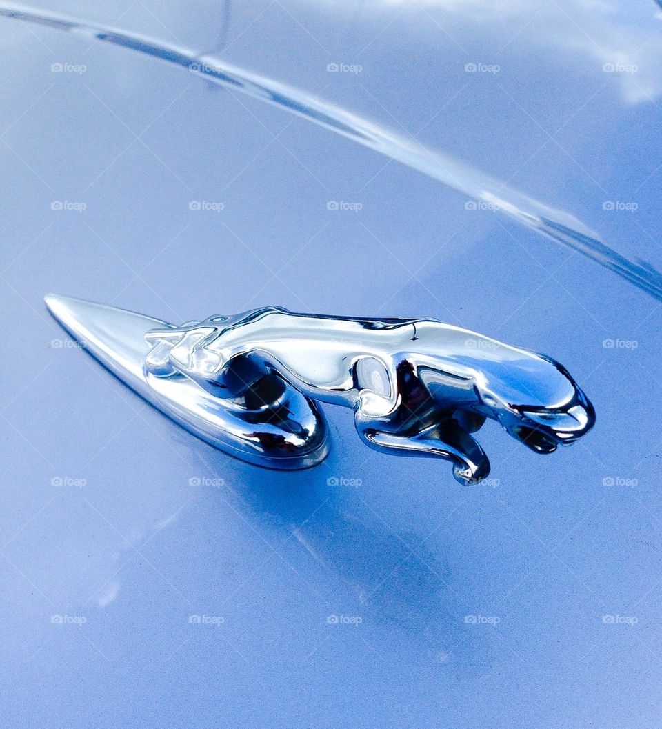 Jaguar emblem