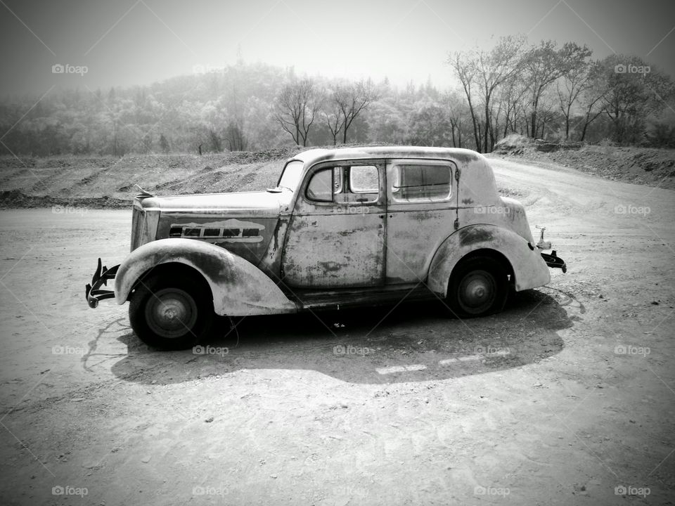 Found in the middle of a whole bunch of nothing