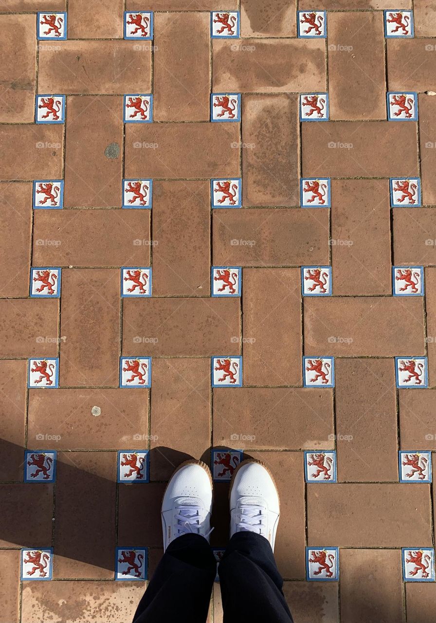 Rectangular and squared hand made and painted tiles covering Plaza de España in Sevilla, from above 