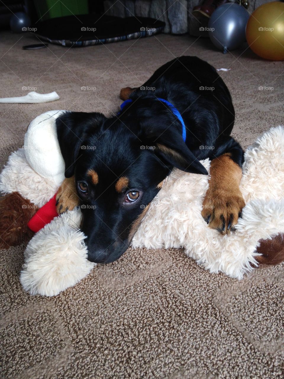 Jake cuddling with a teddy bear!