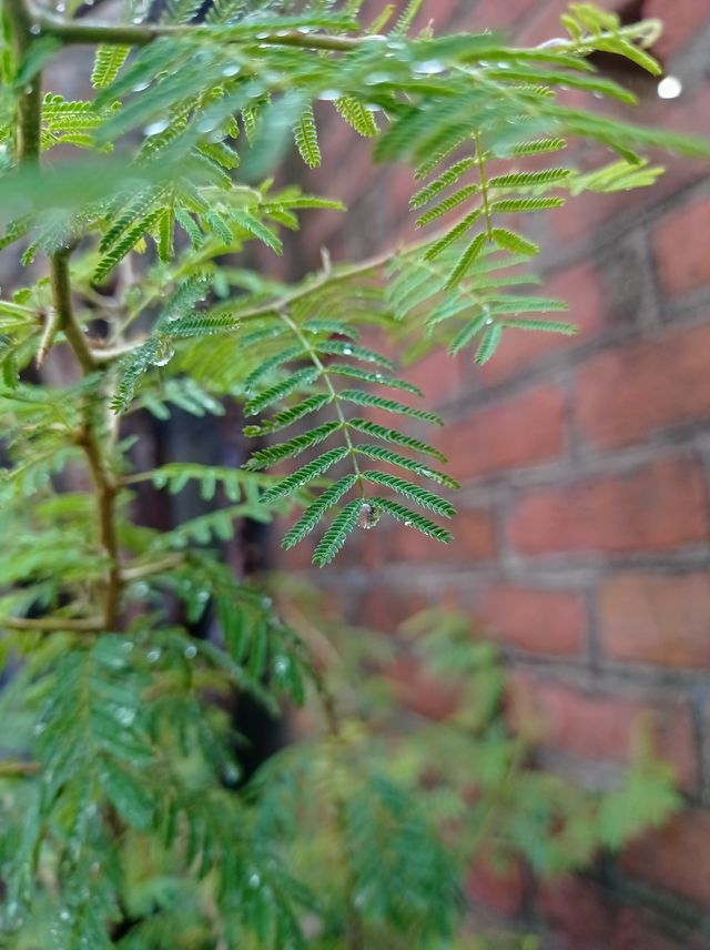 mini water drop