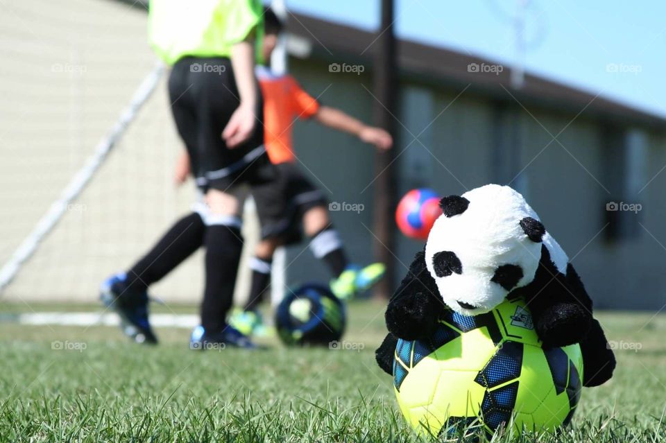 Chu. Chu plays Soccer