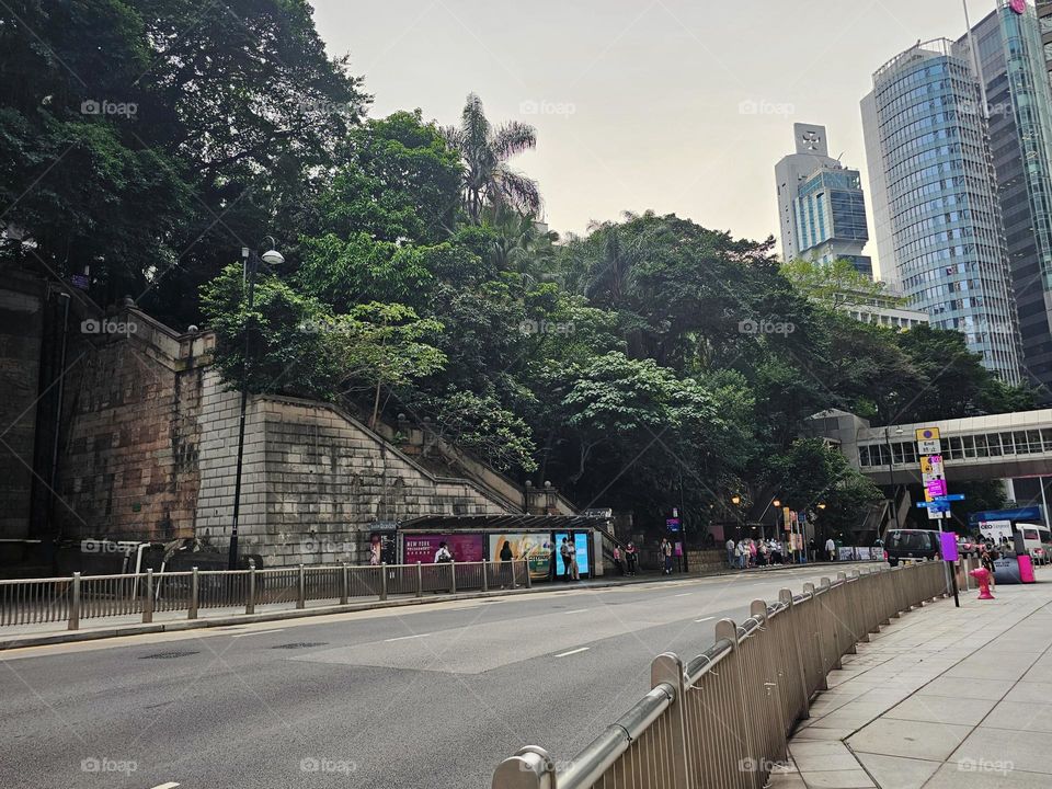 Urban plants at Central Hong Kong