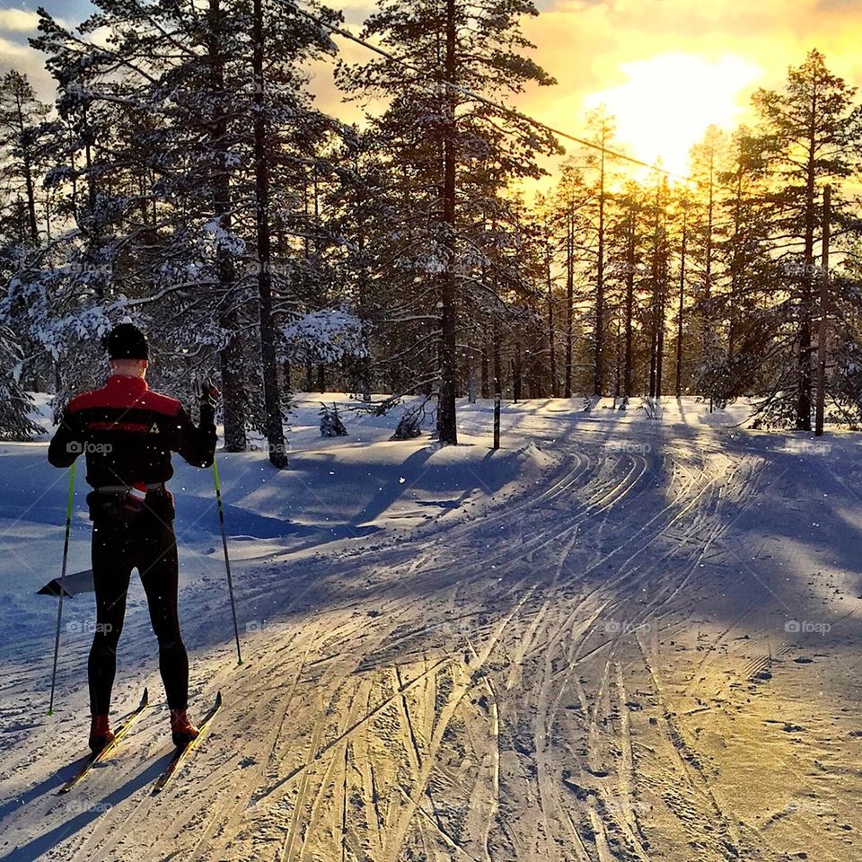 Crosscountry in Sweden