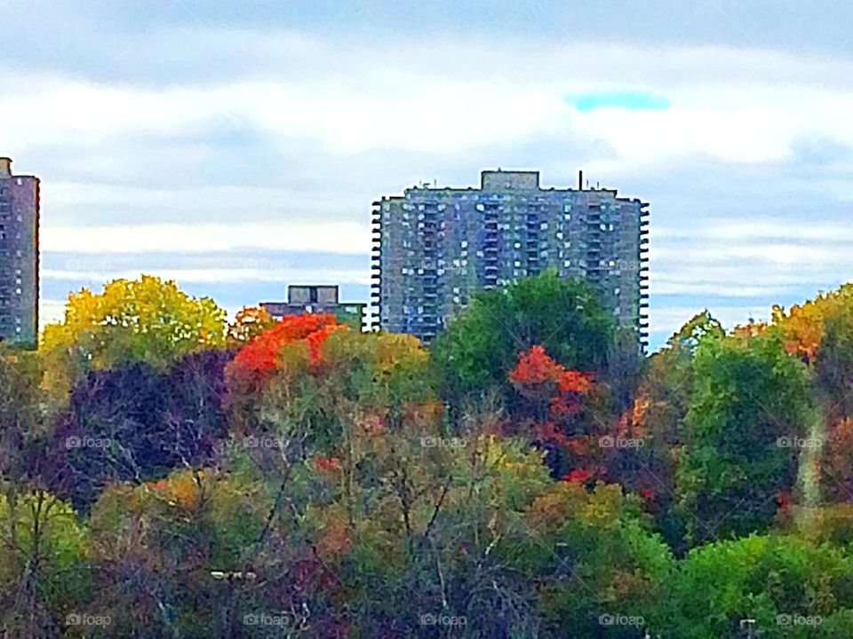 Urban garden landscape 