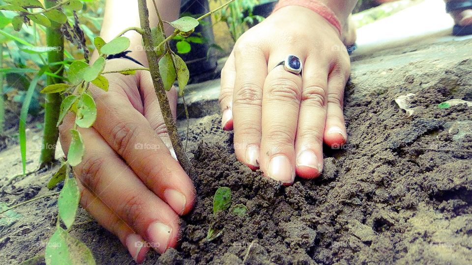 Gardening 