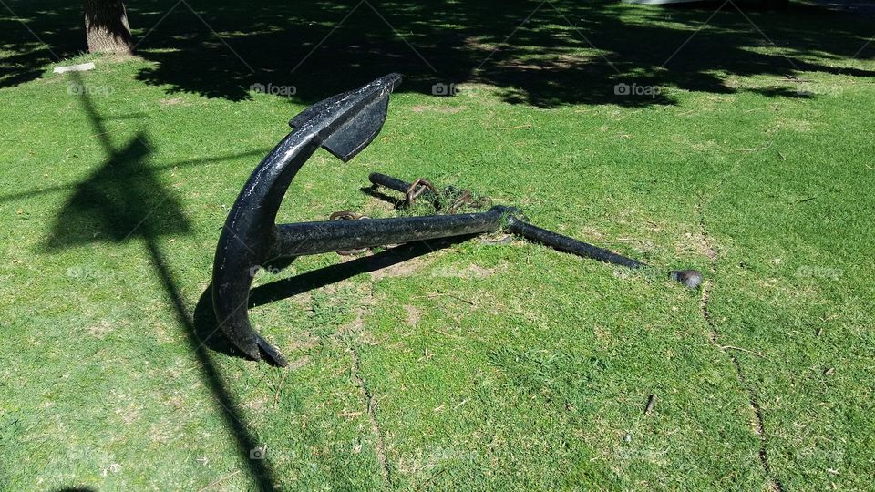 Grass, Park, No Person, Nature, Tree