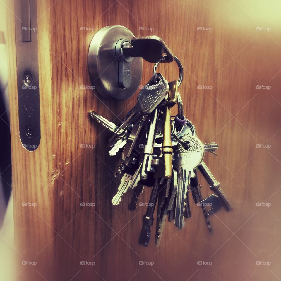 People, Wood, Security, One, Man