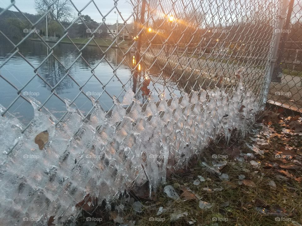 Ice on a fence by the lake