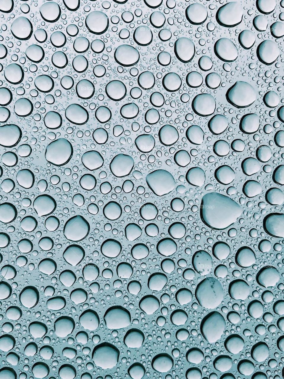 Water droplets