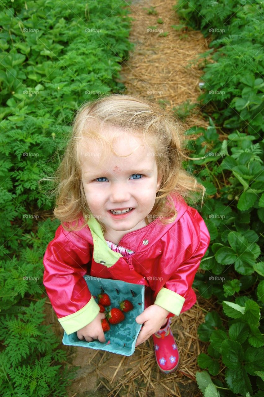 Pickin berries