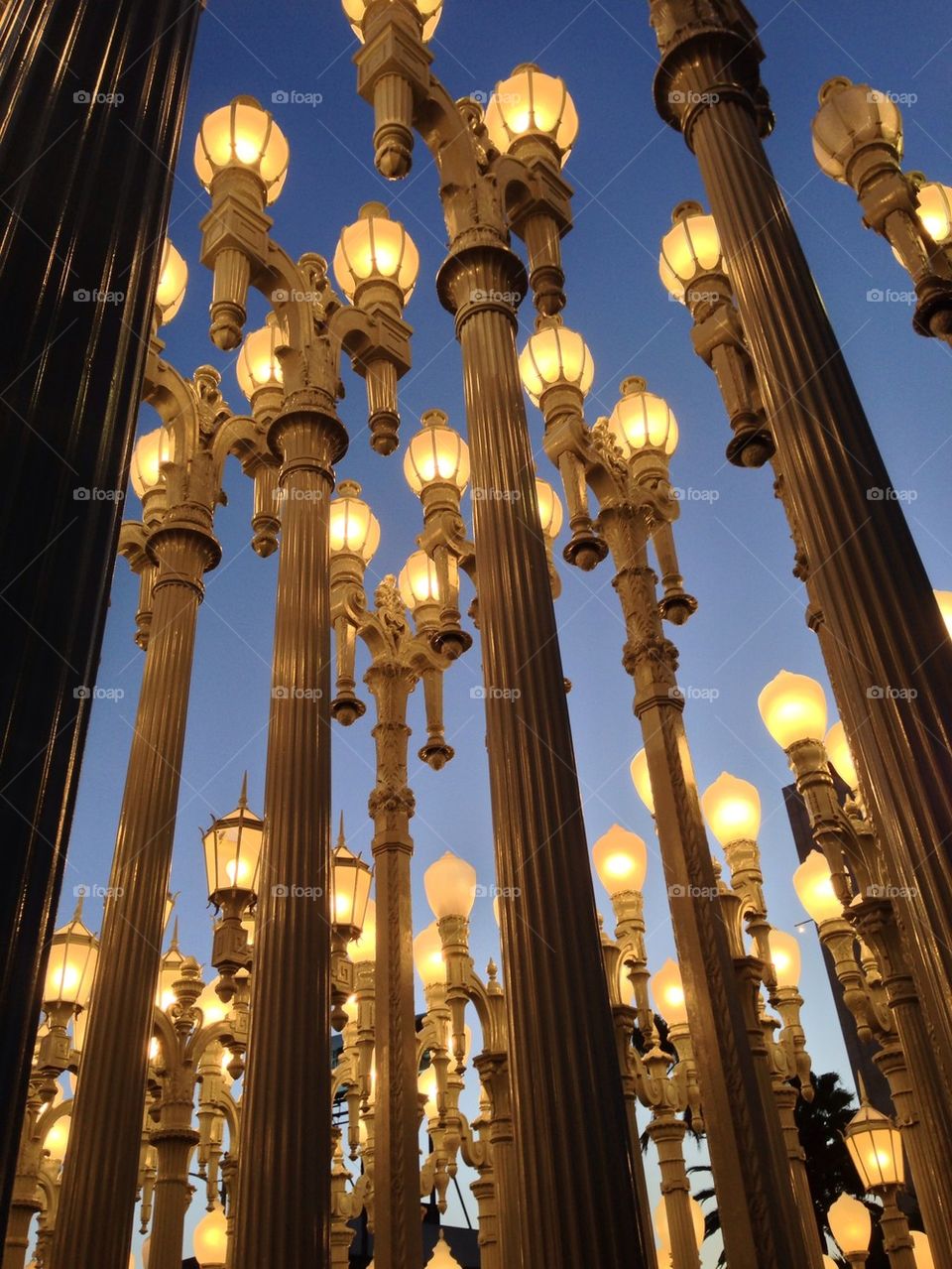 Lacma