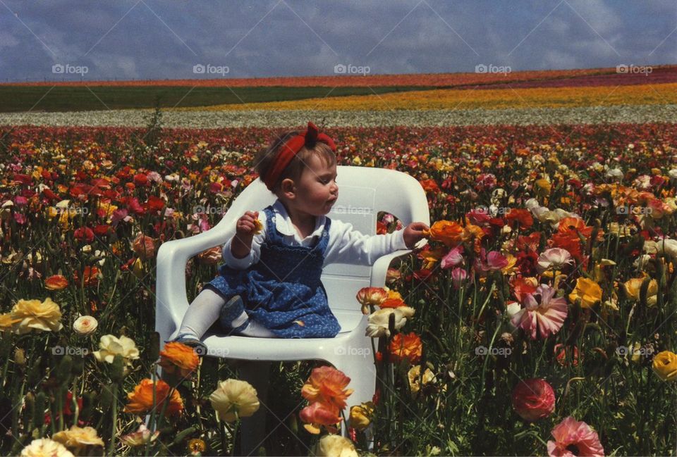 Flower fields 
