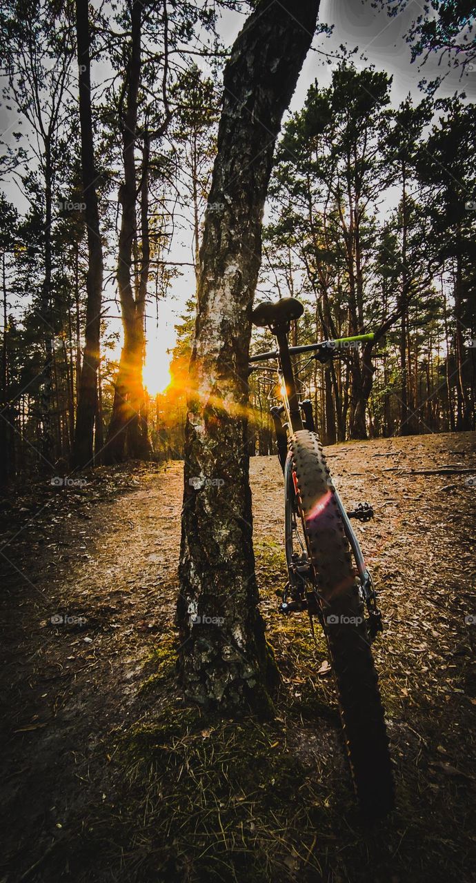test during cycling in forest