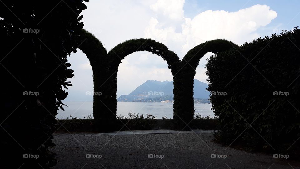 Collecting Memories dhanssen