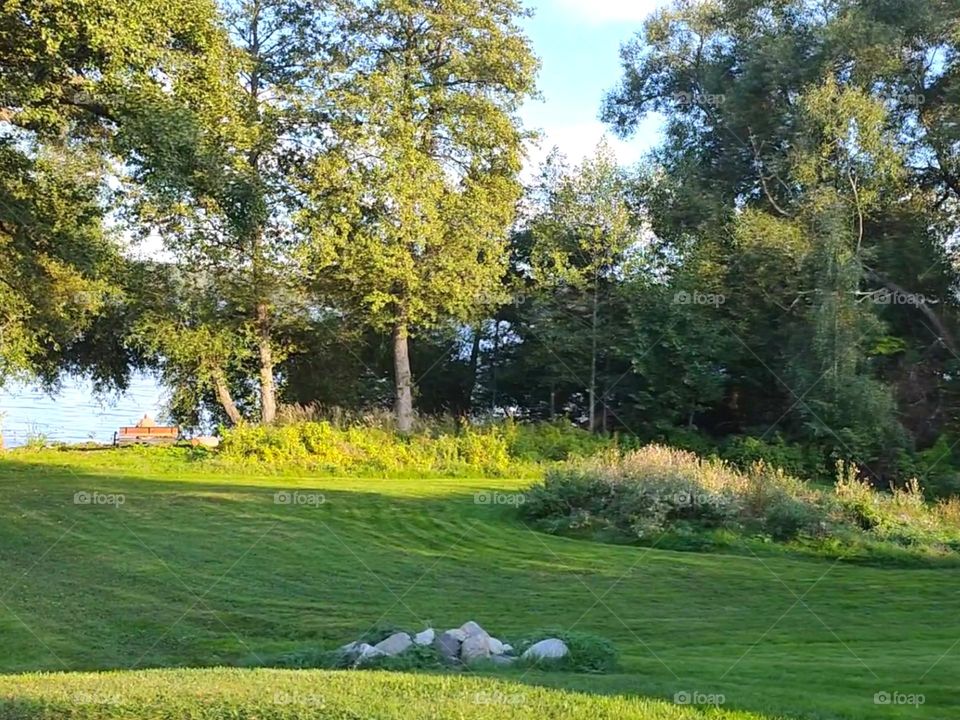 Landscape || Greenery in Sweden