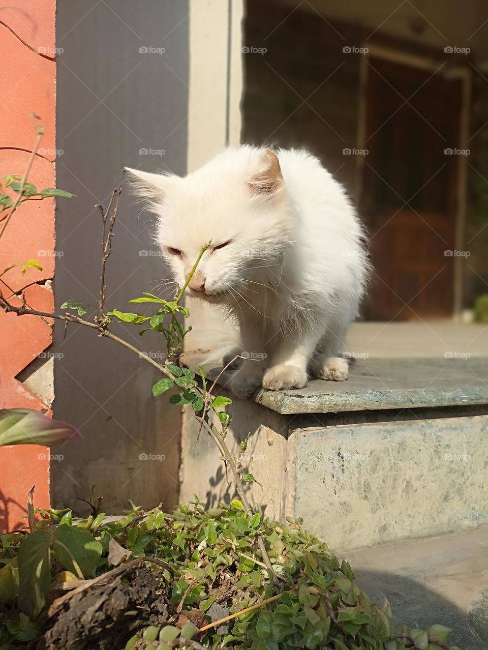 trying to control my hunger tummy.