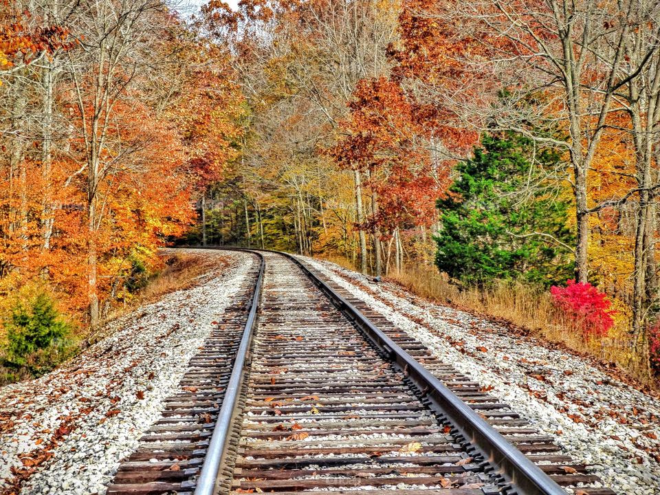 Fall on the train tracks