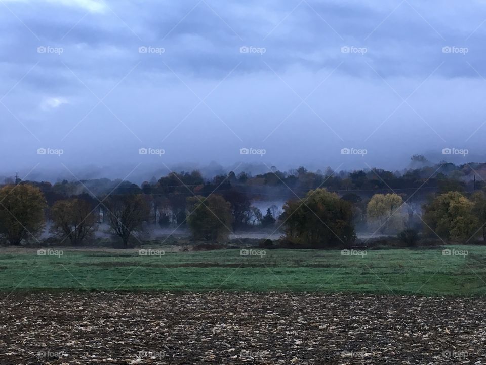 Connecticut morning fog