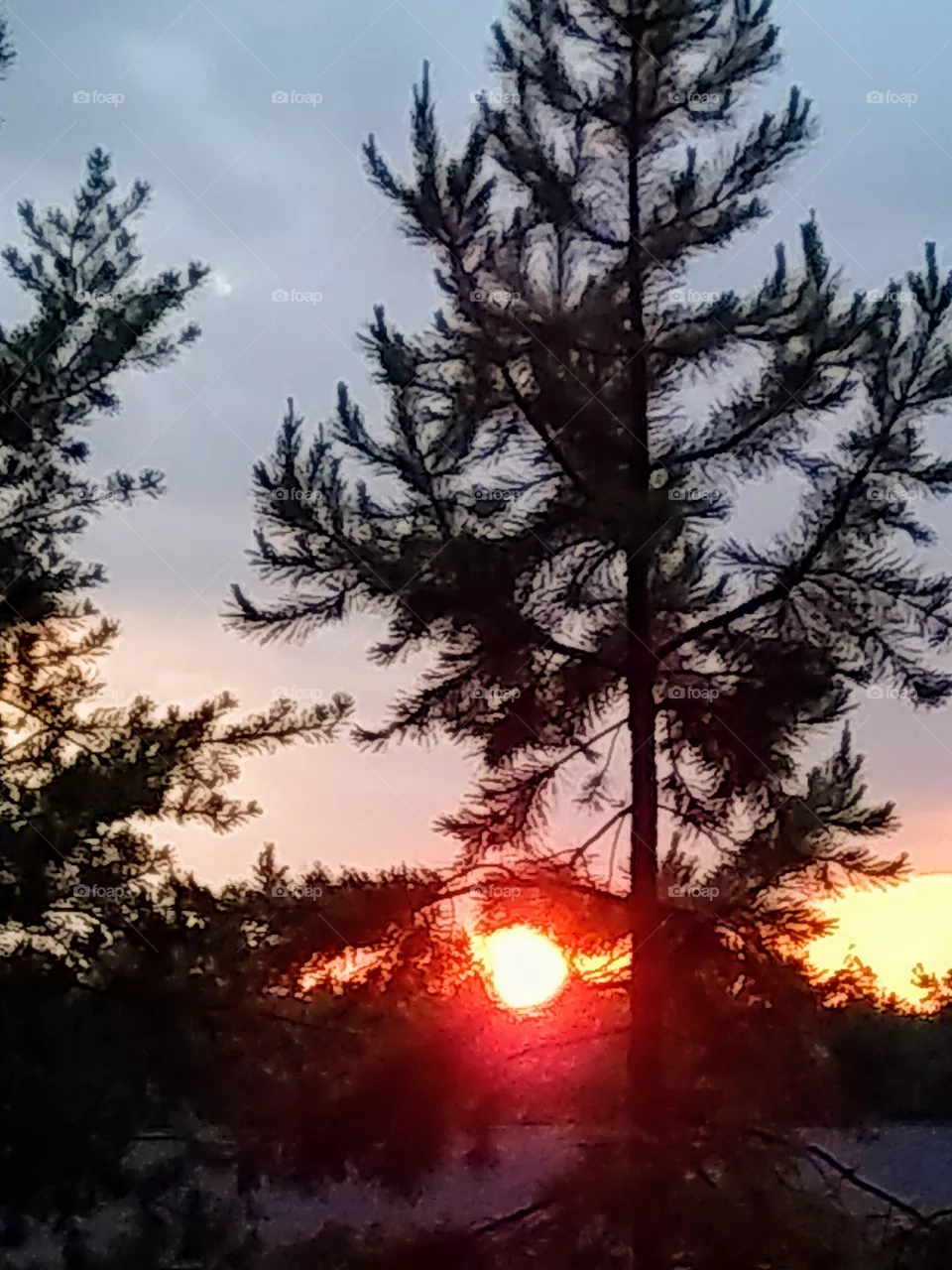 sunset