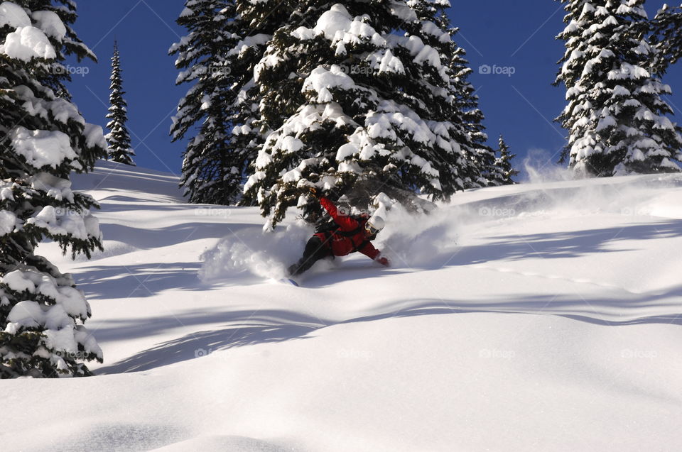 Powder skiing in British Columbia, Rockies, Canada