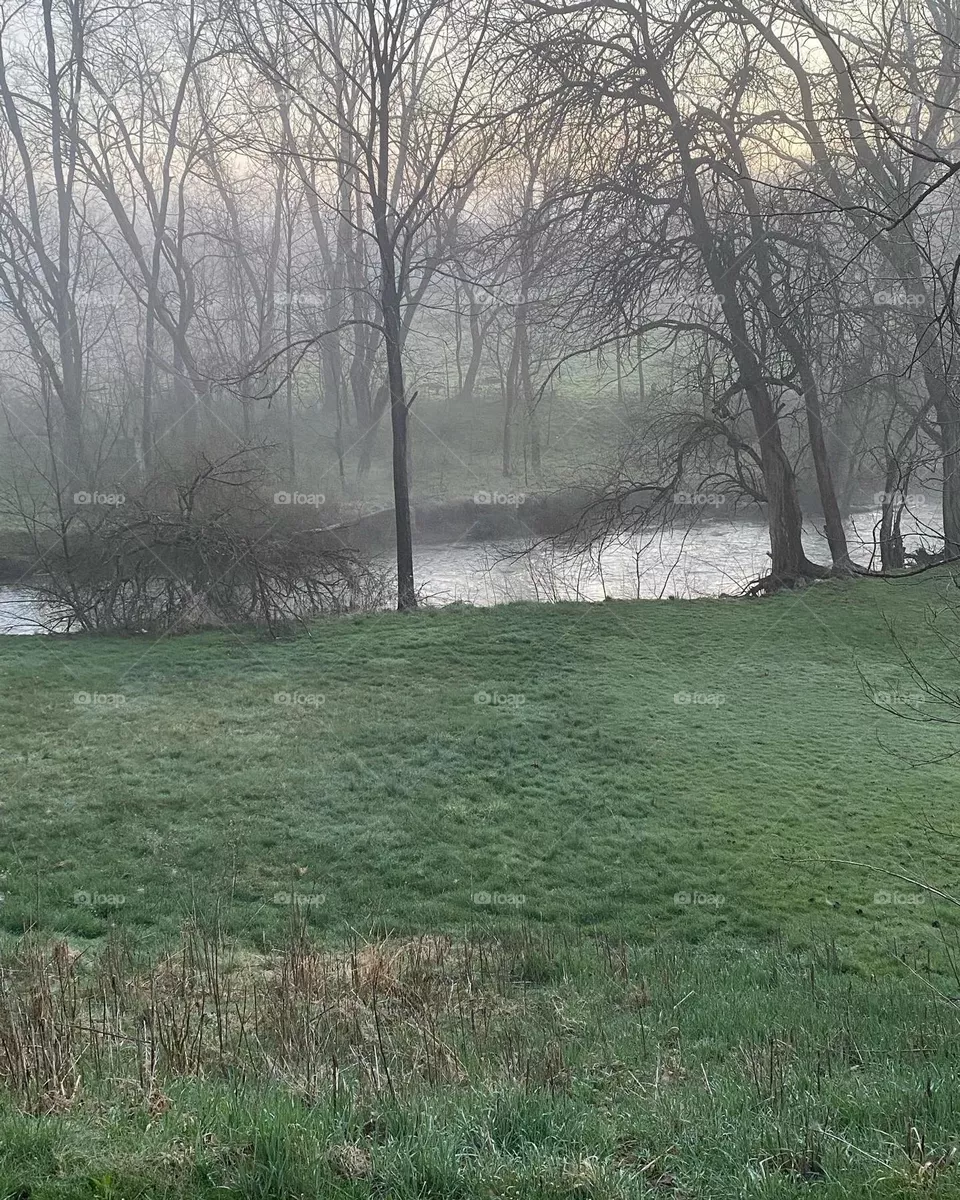 Foggy morning 