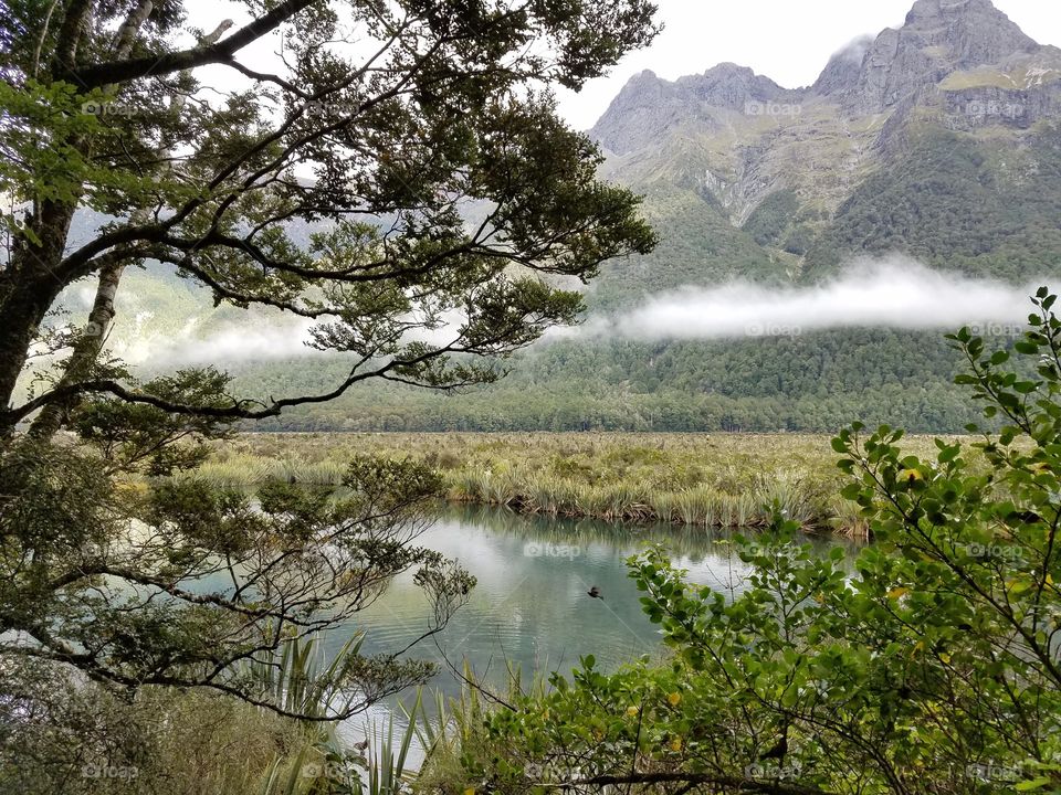 Foggy lake