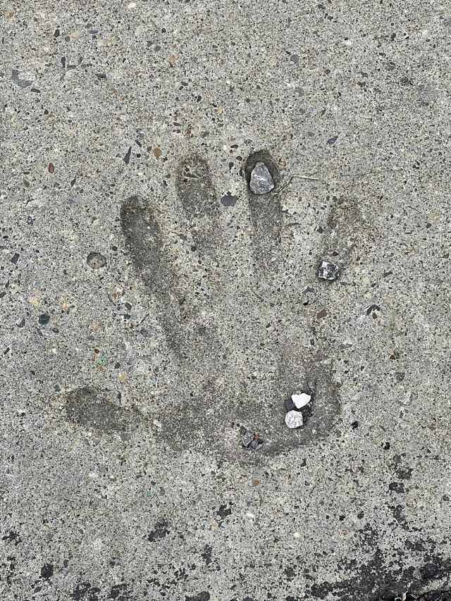 Hand print