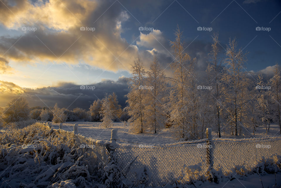 Snowy winter day background