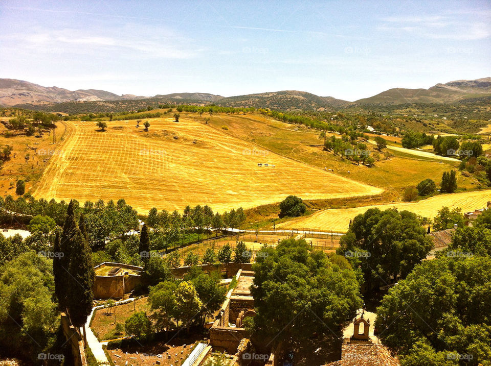 landscape green cropland enclosure by lgt41