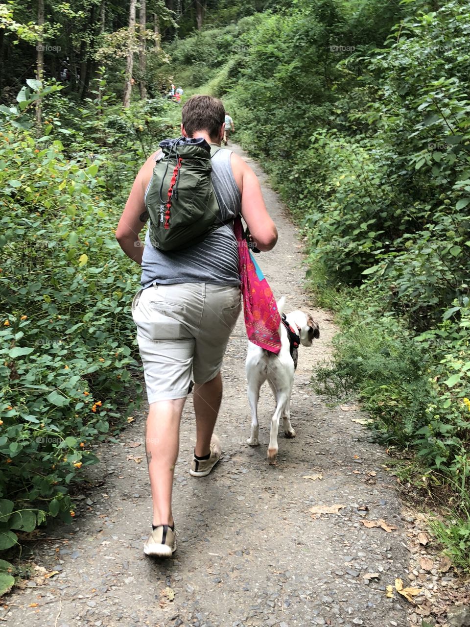 Hiking with dog 