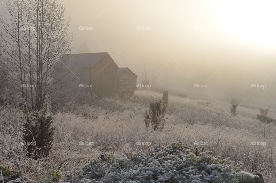 Fog, Landscape, Mist, Dawn, Winter