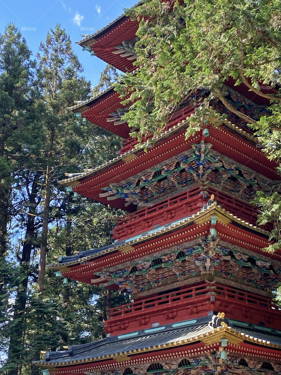 Side angle of the five-tiered colorful gold encrusted ornate pagoda at Nikko Toshogu Shrine in Japan, surrounded by tall trees. 