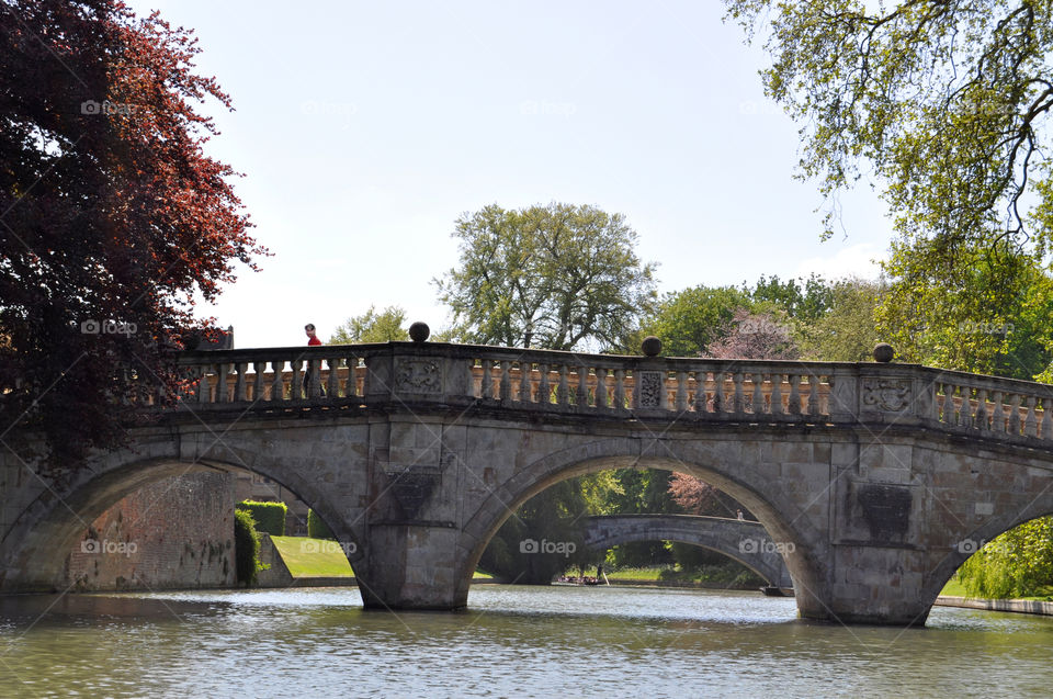 Bridge, River, Water, Architecture, Travel