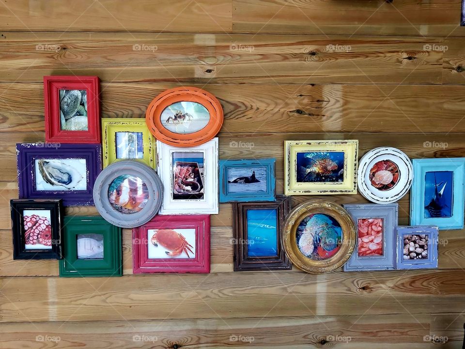 photo frames on a wall