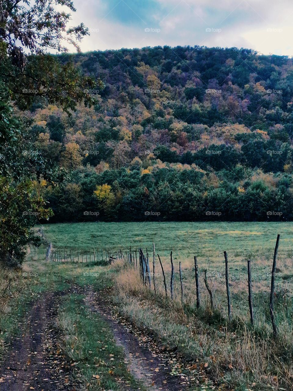 nature in October