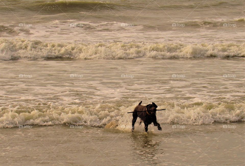 On the beach