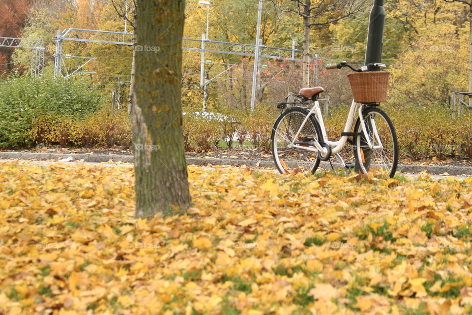 bicycle autumn oslo mission5 by nader_esk