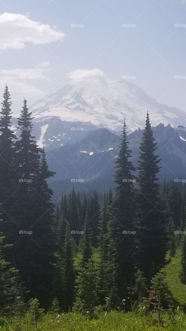 Hiking in the mountains of Washington State provides the ability to view the very possible next natural catastrophe: Mt. Rainier