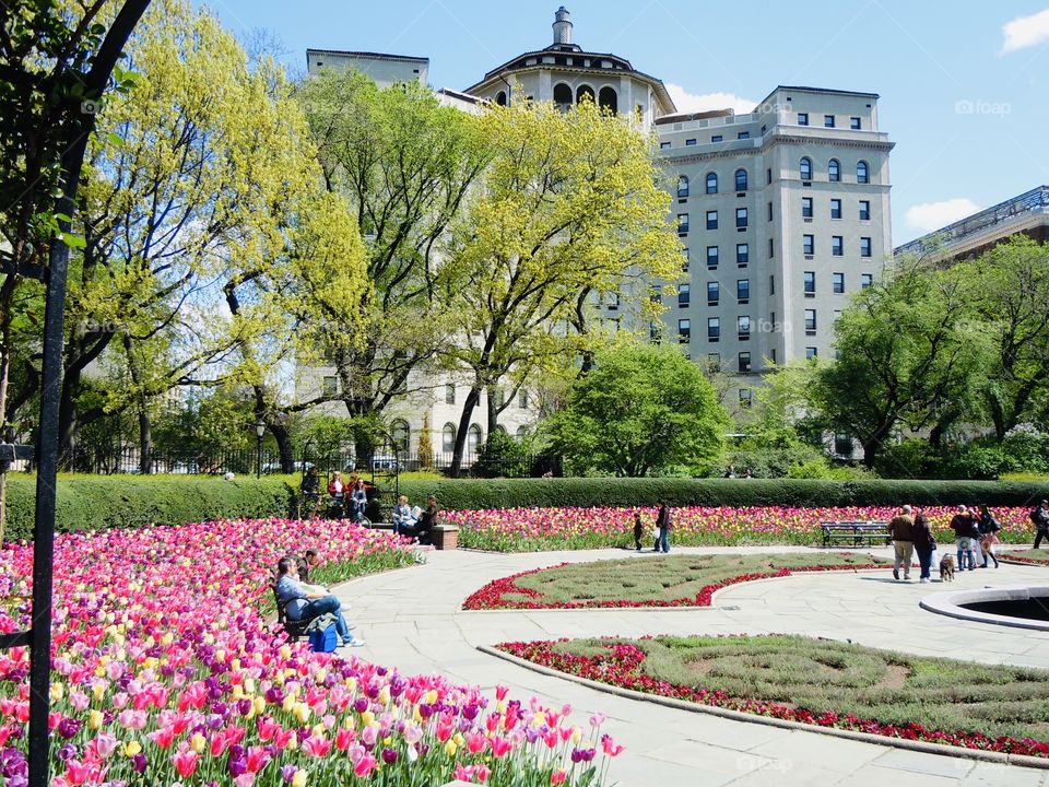 Conservatory Garden Central Park 