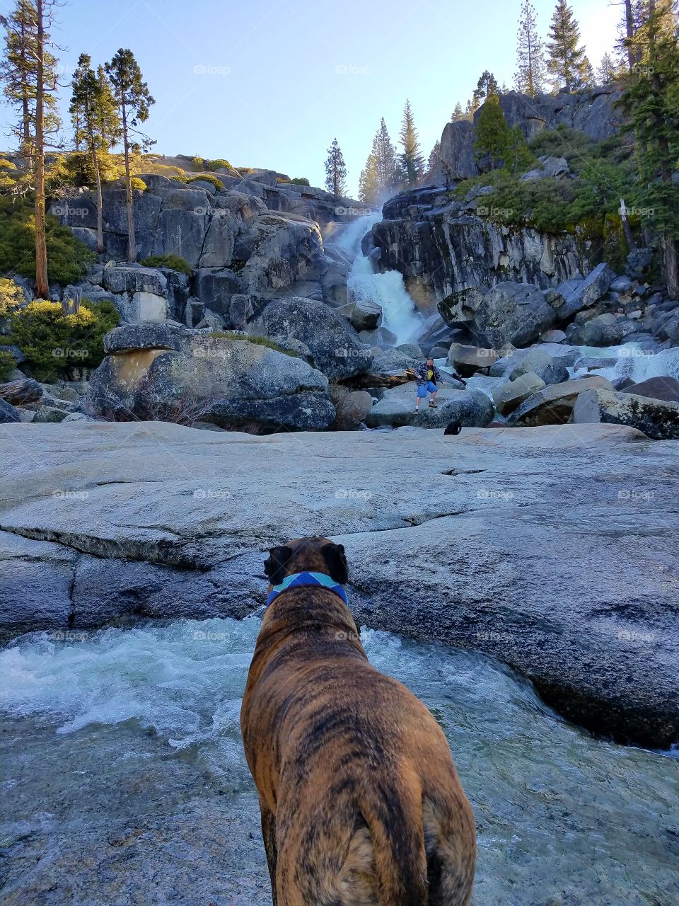 Springtime waterfall with my hiking buds