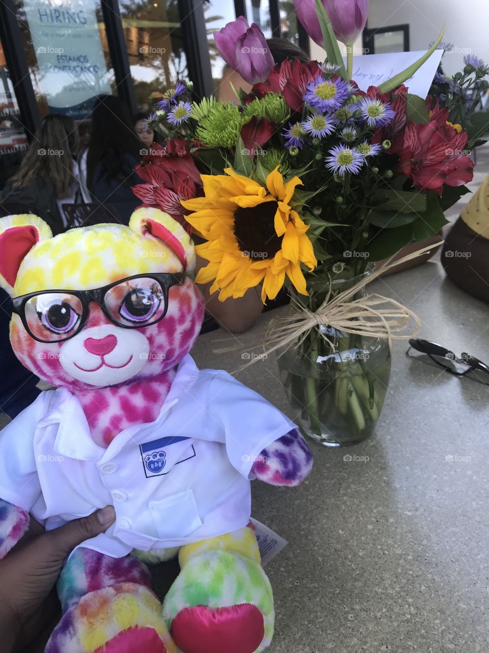 Dr. Teddy and he sunflowers 