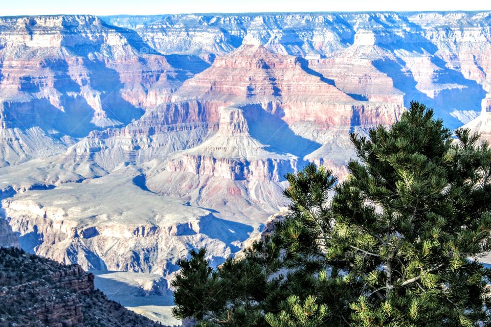 Grand Canyon View