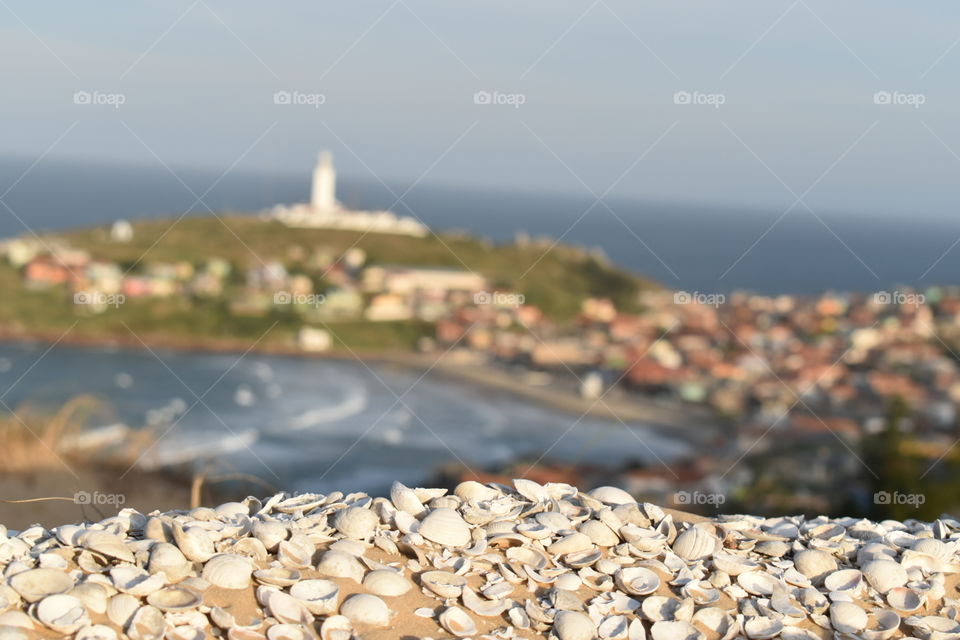Lighthouse and seashells