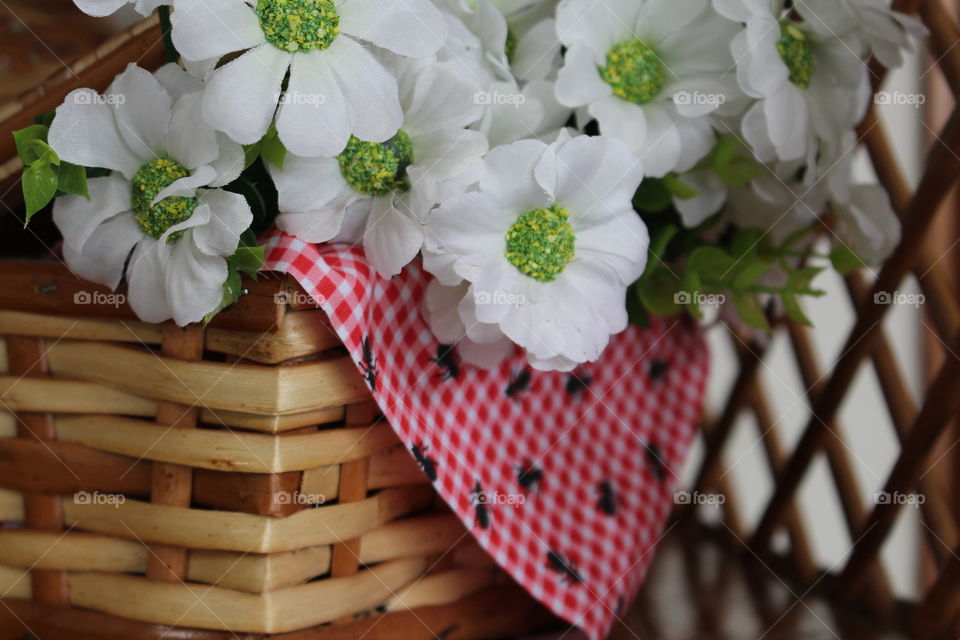 picnic,  flowe