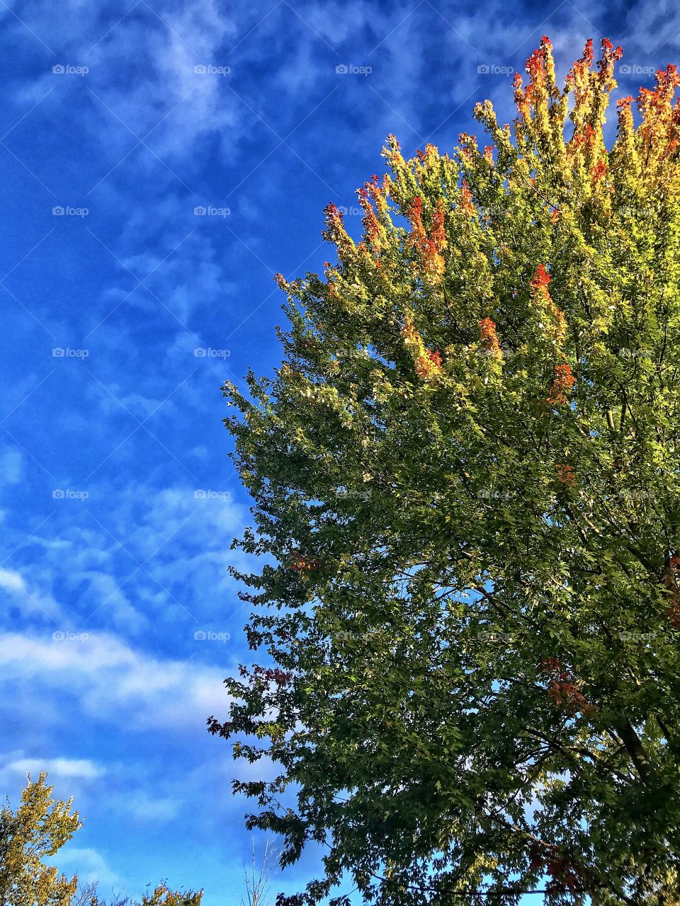 Even in the winds of change, life is a beautiful thing. When you see the colors change, you know you’re evolving. 