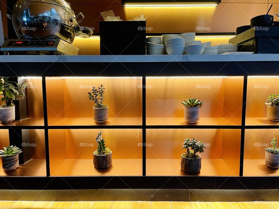 Shelfs with orange light and potted plants 