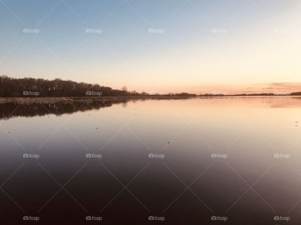 Gorgeous sunset with sun dipping behind grove of trees makes for a beautiful photo. 