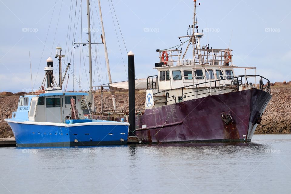 Fishing boats trawlers docked at marina outdoors 