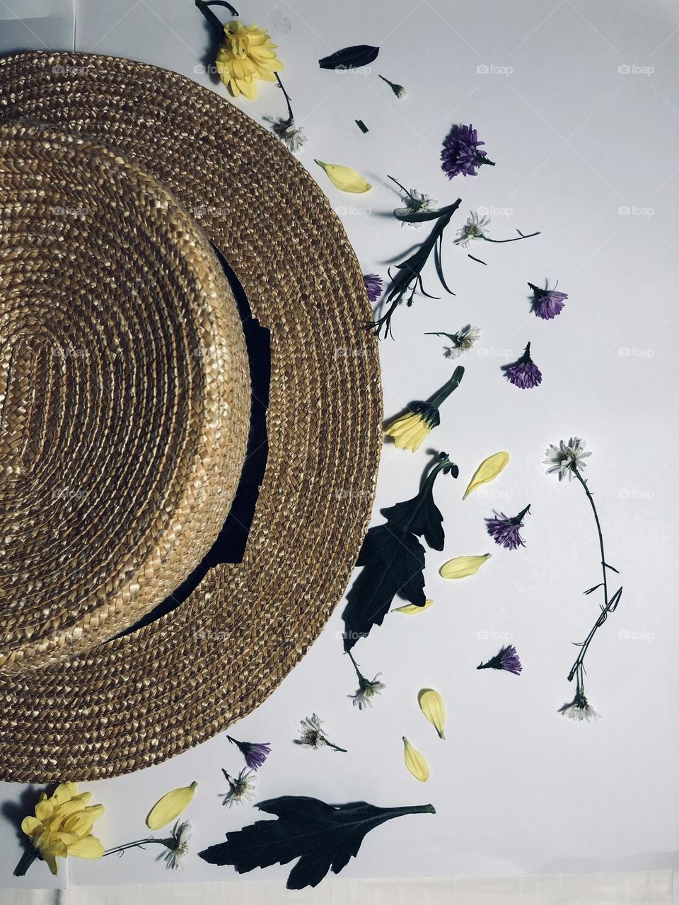 Tropical flower with a hat